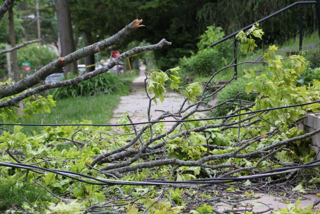 Downed branches and power lines block a Madison sidewalk after powerful storms ripped through the city Tuesday night. Shawn Johnson/WPR