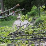 Storms, Tornadoes Leave 25,000 in State Without Power