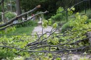 Downed branches and power lines block a Madison sidewalk after powerful storms ripped through the city Tuesday night. Shawn Johnson/WPR