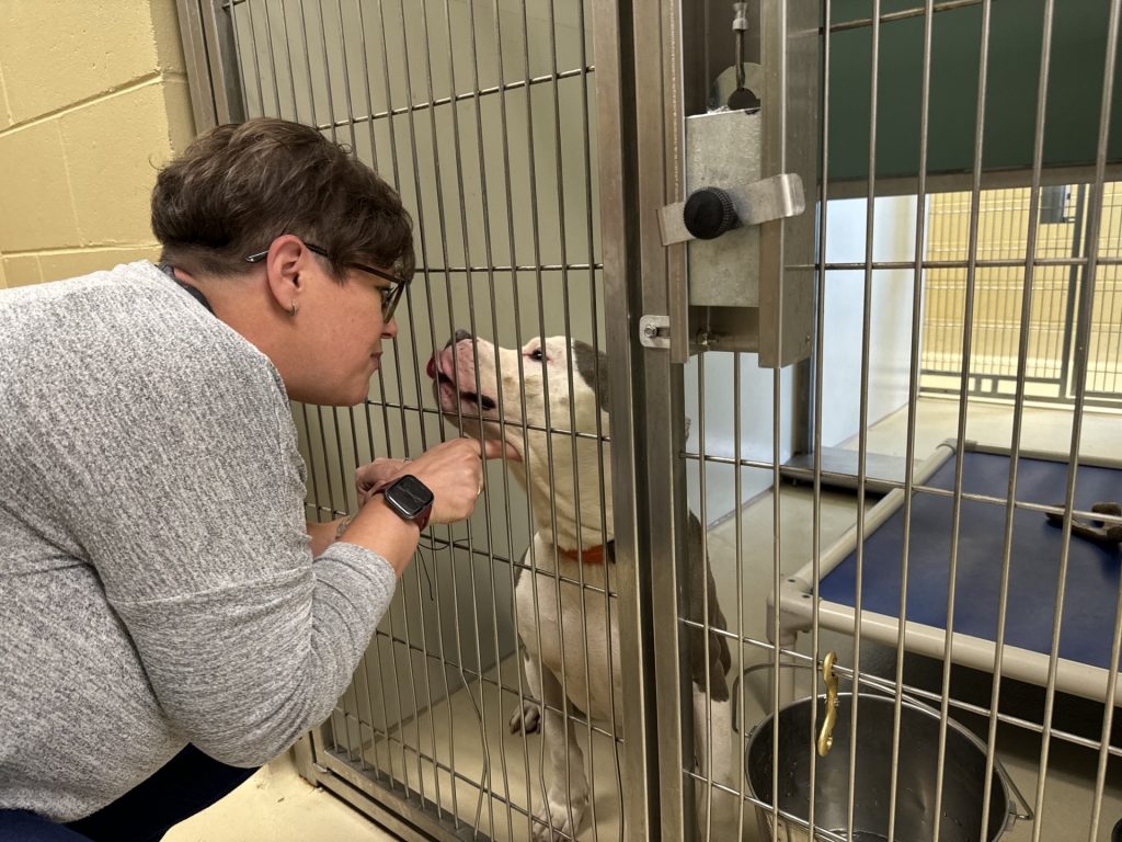 Kate Hartlund, the community engagement director for Milwaukee Area Domestic Animal Control Commission, pets a dog. Evan Casey/WPR