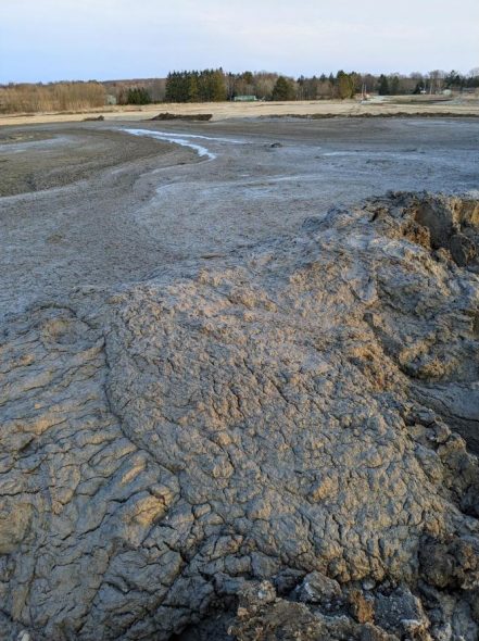 The sludge dumped on the Village of Mount Pleasant property. Photo Courtesy of Kathy Deverney/Wisconsin Examiner.