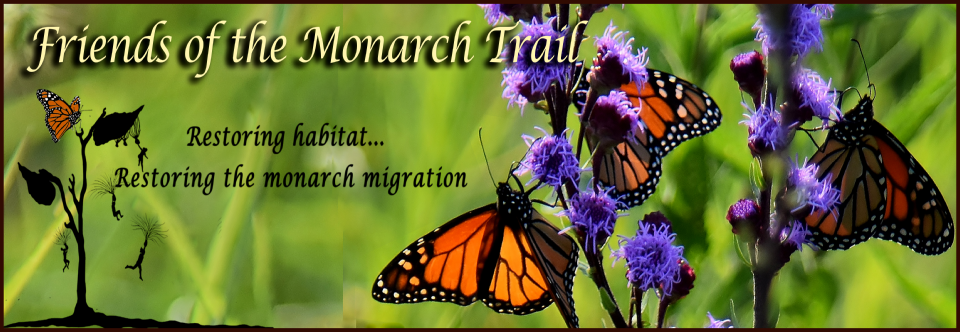 Milkweeds for Monarchs: Natives for Nature