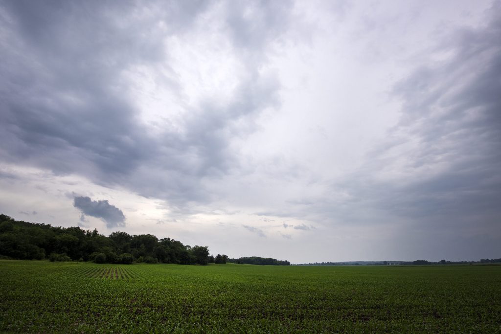 Dark clouds loom over a field as rain approaches Monday, June in Waukesha County, Wis. Angela Major/WPR