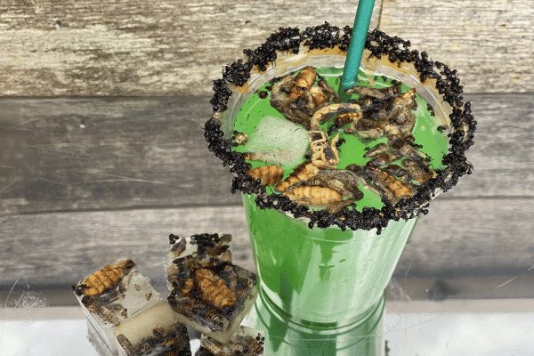 Bug Juice is one of the new food items at the 2024 Wisconsin State Fair. Photo courtesy of Wisconsin State Fair.
