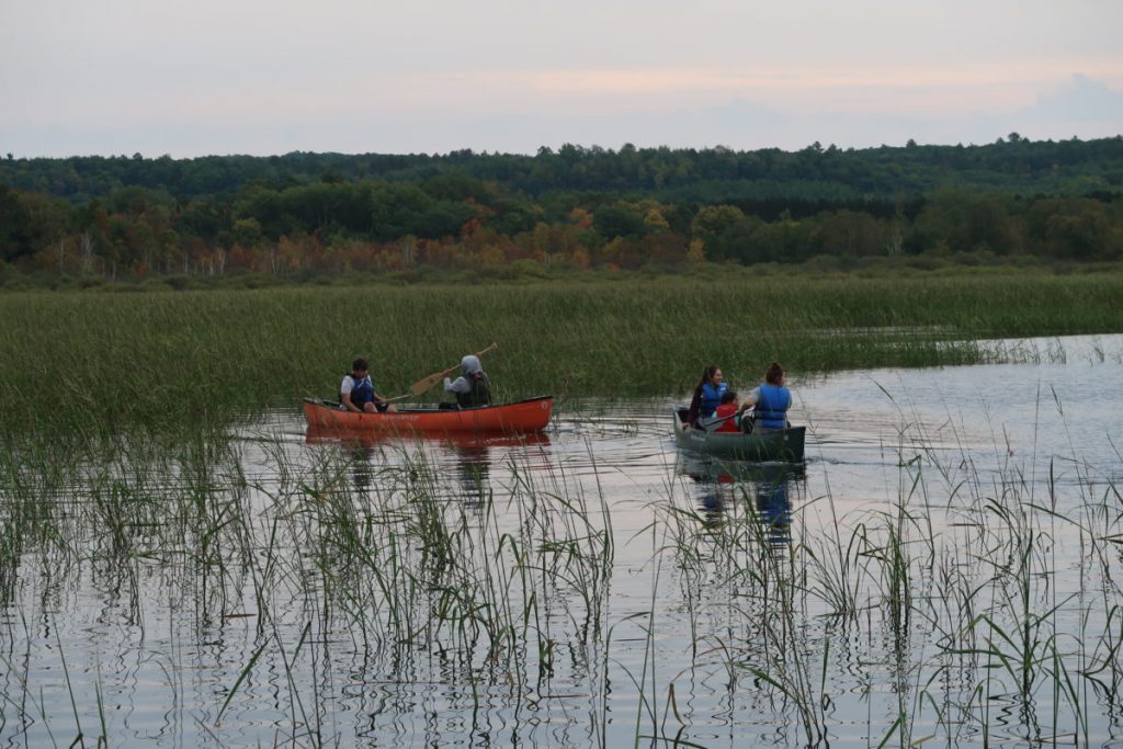 Bad River youth harvest wild rice, some for the first time, on Pacwawong Lake south of Cable in 2019.Danielle Kaeding/WPR