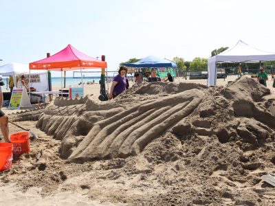 Massive Sea Creature Emerges at Bradford Beach