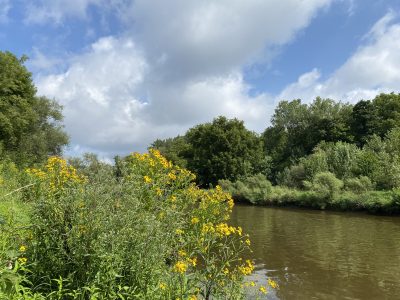 Milwaukee Walks: A Lovely Walk Along the Milwaukee River