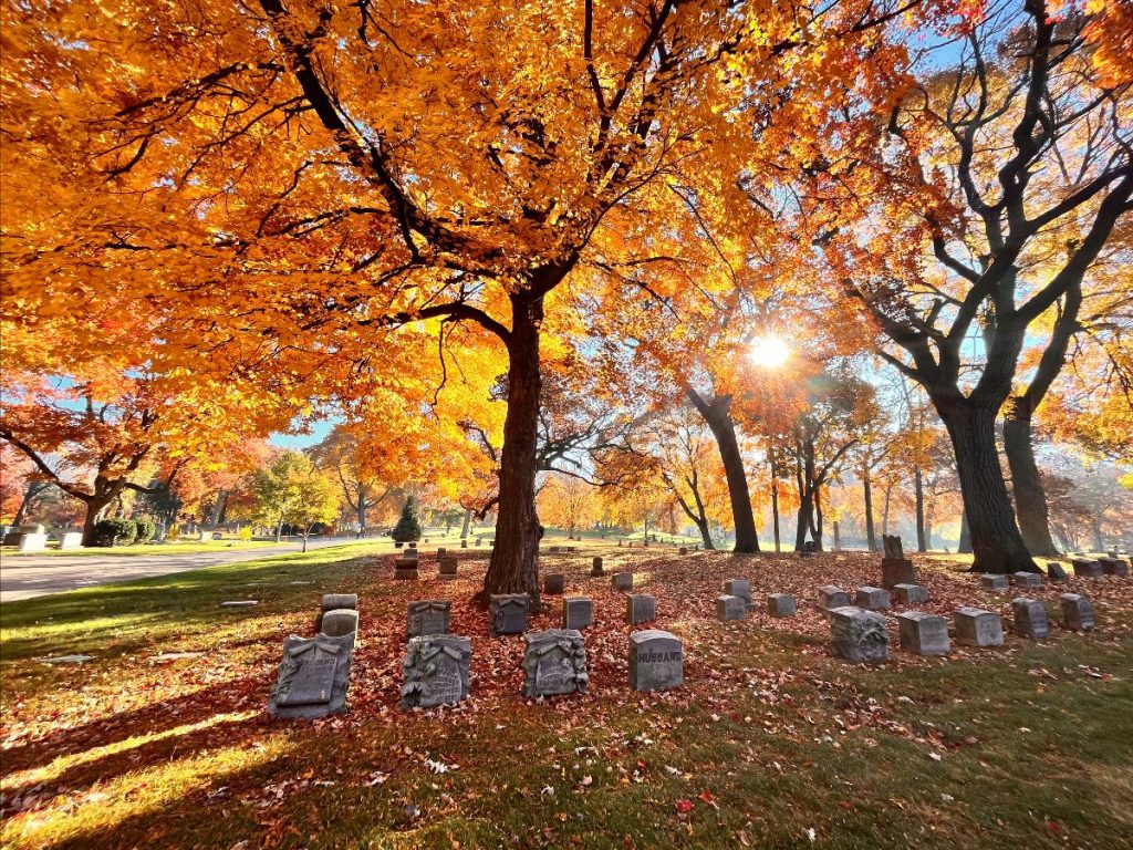 Image from Forest Home Cemetery & Arboretum.