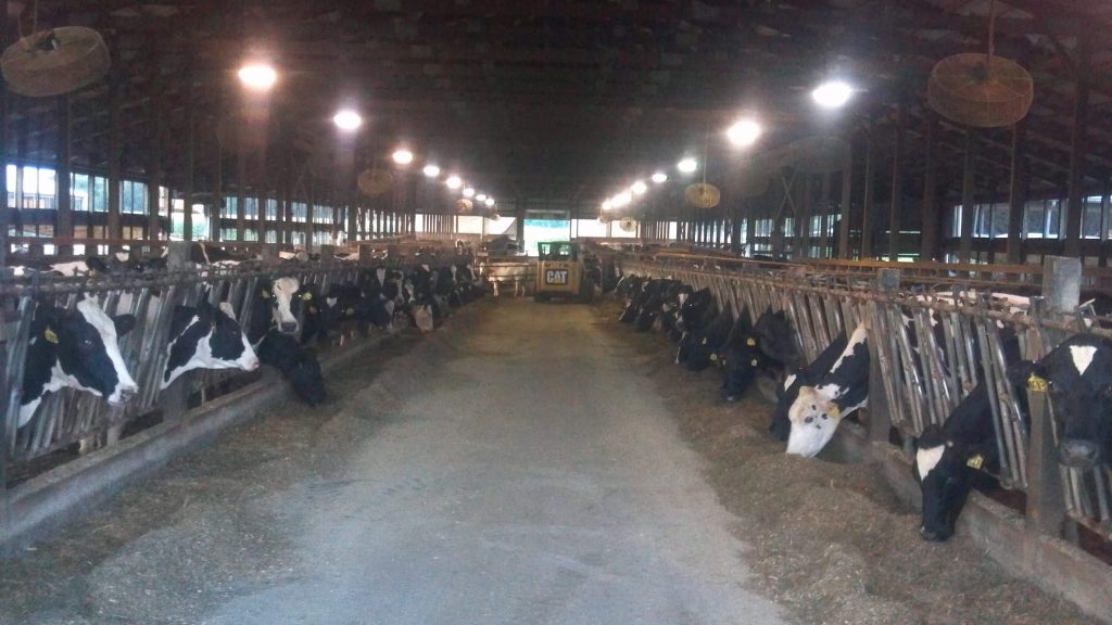 Wisconsin dairy CAFO (Photo courtesy of Wisconsin DNR)