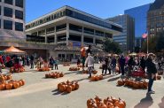 The 2023 Jack-O-Lantern Jubilee at Red Arrow Park. Photo by Jeramey Jannene.