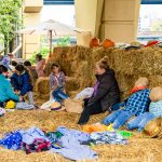 Milwaukee Public Market Celebrating 19th Anniversary With Harvest Festival