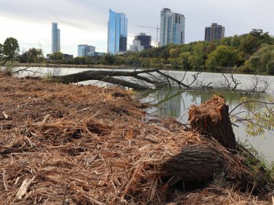 MKE County: Why Were Trees Cut Down at Veterans Park?