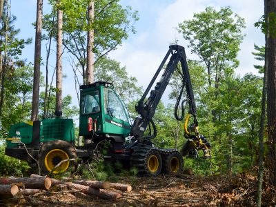 Celebrate Wisconsin Forest Products With The DNR