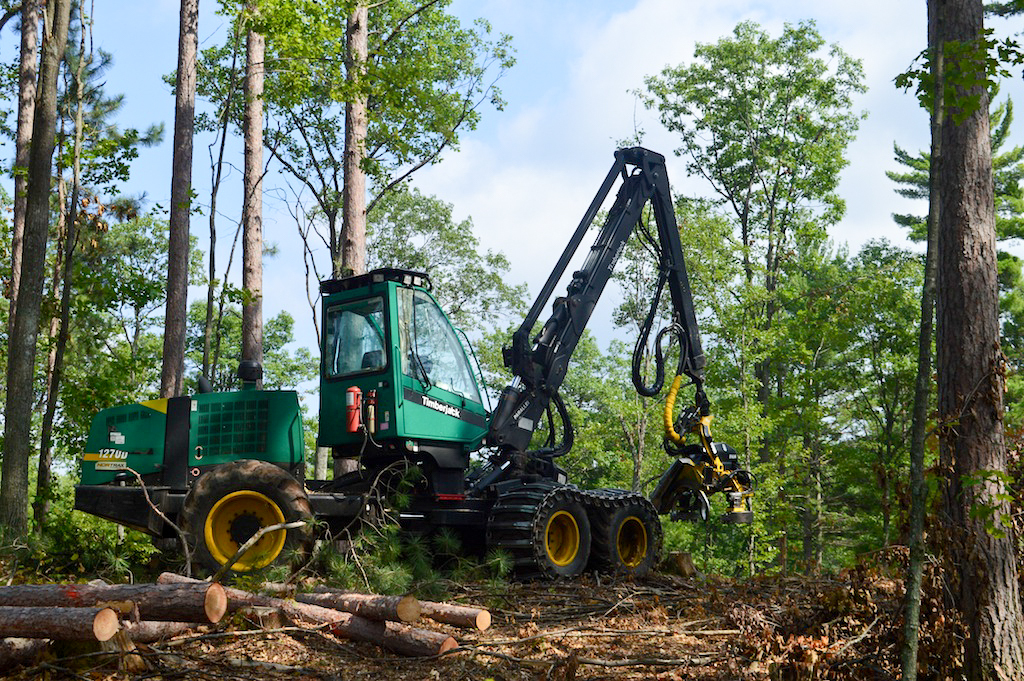 Celebrate Wisconsin Forest Products With The DNR