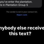 Milwaukee Woman Part of Nationwide Group To Receive Racist ‘Plantation’ Texts