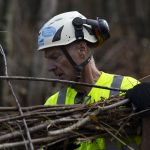 Can Mock Beaver Dams Restore Wisconsin’s Wetlands?