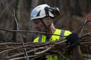 Jim Hoffman, CEO of Hoffman Construction, carries a bundle of sticks while working on building a series of artificial beaver dams on a wooded property he owns on Oct. 25, 2024, in Alma Center, Wis. (Joe Timmerman / Wisconsin Watch)