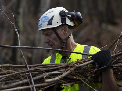 Can Mock Beaver Dams Restore Wisconsin’s Wetlands?