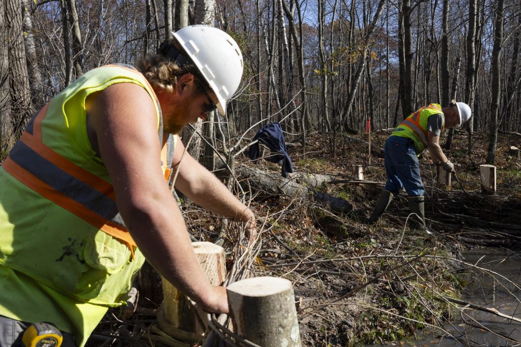 Joel Pennycamp, an employee at Hoffman Construction, left, and Jay Dee Nichols, right, weave sticks and tree branches while working on building a series of artificial beaver dams on Jim Hoffman’s wooded property on Oct. 25, 2024, in Alma Center, Wis. (Joe Timmerman / Wisconsin Watch)