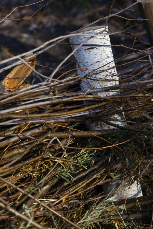 Tree branches and sticks are interwoven into an artificial beaver dam on the property of Jim Hoffman, CEO of Hoffman Construction, on Oct. 25, 2024, in Alma Center, Wis. (Joe Timmerman / Wisconsin Watch)