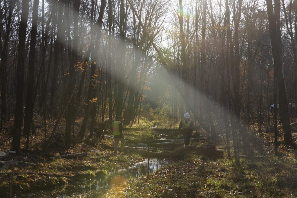 Jim Hoffman, CEO of Hoffman Construction, left, walks toward a series of artificial beaver dams as they are being installed on a wooded property he owns on Oct. 25, 2024, in Alma Center, Wis. (Joe Timmerman / Wisconsin Watch)