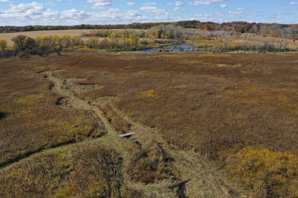 Artificial beaver dams were constructed during a workshop organized by the U.S. Fish and Wildlife Service at Briggs Wetland on Oct. 23, 2024, in Rock County near Beloit, Wis. (Joe Timmerman / Wisconsin Watch)