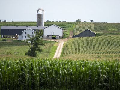 Judge Dismisses Business Group’s Lawsuit Over Local Control of Large Farms