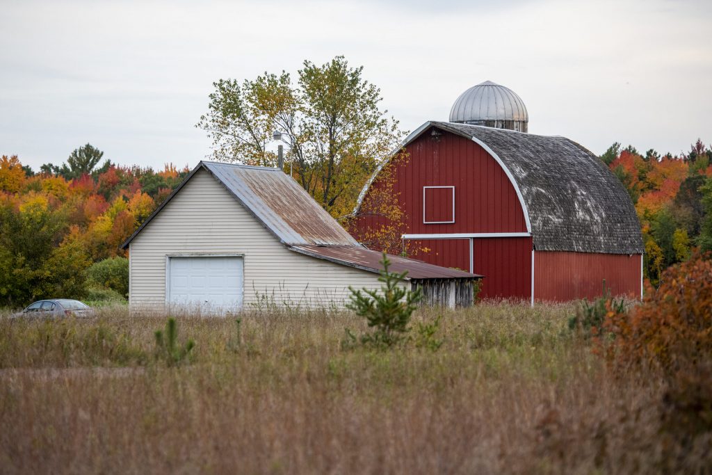 A barn in Webster, Wis., is backdropped by fall leaves Monday, Oct. 3, 2022. Angela Major/WPR