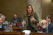 Senate Minority Leader Dianne Hesselbein on floor of Senate. (Courtesy Hesselbein’s office)