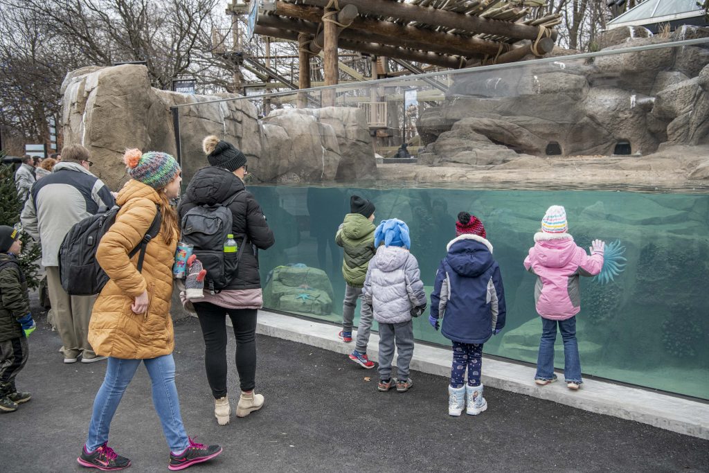 Penguin habitat. Photo courtesy Milwaukee County Zoo.