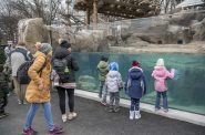 Penguin habitat. Photo courtesy Milwaukee County Zoo.