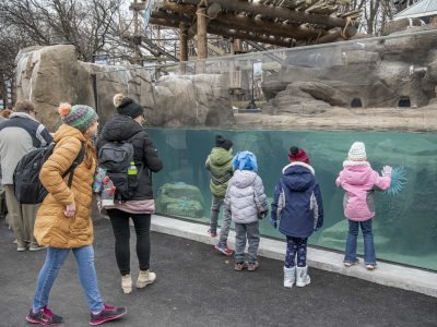 MKE County: Zoo Opens New Penguin Habitat