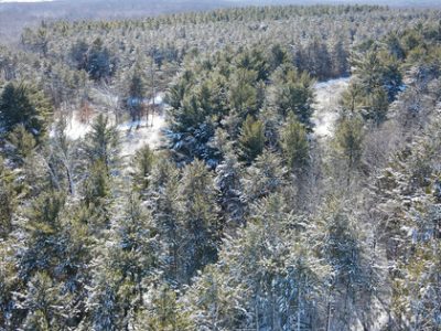 Celebrate 125 Years Of The Wisconsin State Park System In 2025