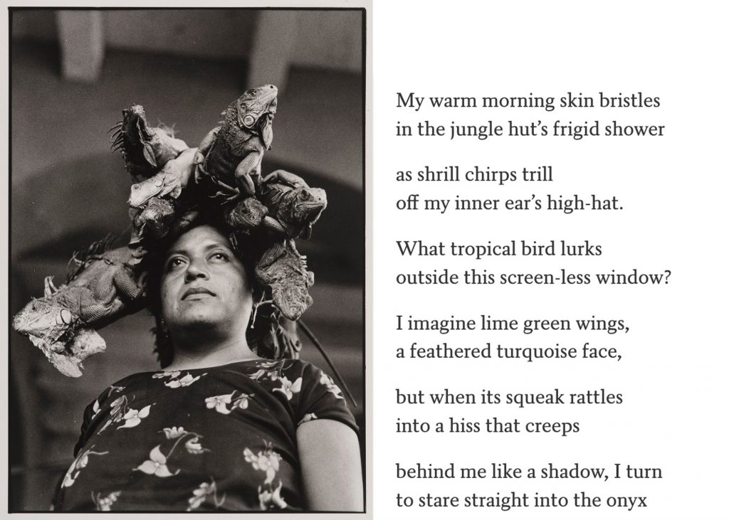 Brenda Cárdenas wrote the poem “Nuestra Señora de las Iguanas” based on Graciela Iturbide’s photograph by the same title. Photo courtesy of Brooklyn Museum, Gift of Marcuse Pfeifer. Poem courtesy of Brenda Cárdenas