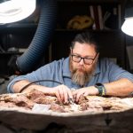 UW-Madison Scientists Help Discover North America’s Oldest Dinosaur