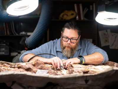 UW-Madison Scientists Help Discover North America’s Oldest Dinosaur