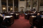 The Wisconsin Senate is photographed during a legislative session on Nov. 14, 2023, at the State Capitol in Madison, Wis. (Drake White-Bergey / Wisconsin Watch)