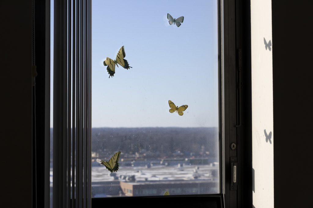 Butterfly stickers adorn the windows of Desilynn Smith’s office to remind her of her late mother. Smith is the executive director of Uniting Garden Homes Inc. (Joe Timmerman / Wisconsin Watch)