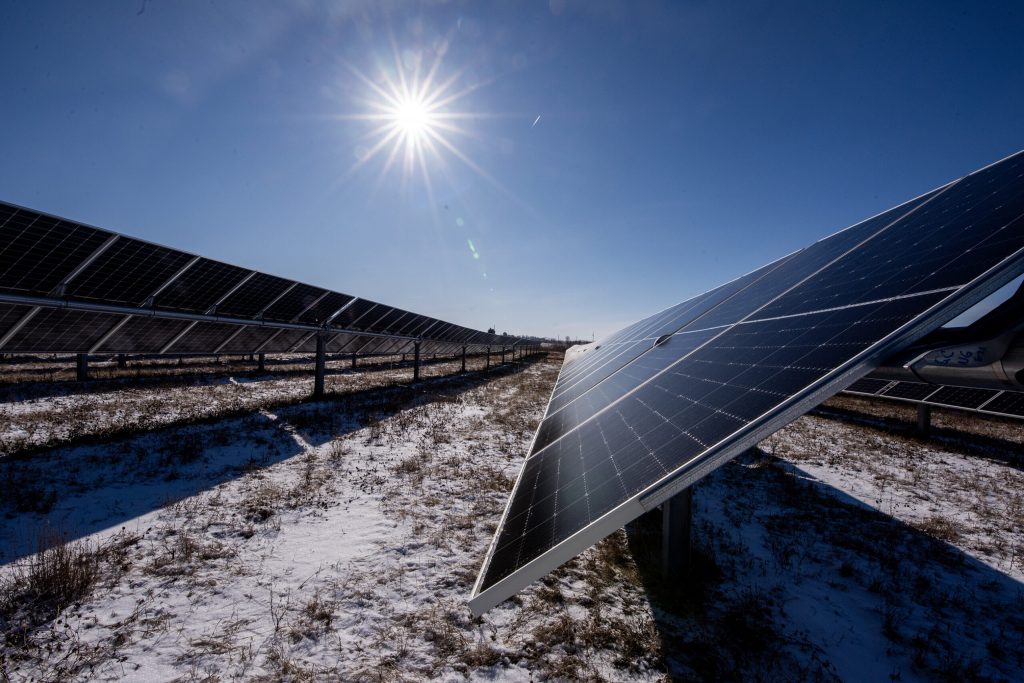 The sun shines onto solar panels at the Paris Solar Park o Friday, Jan. 24, 2025, in Union Grove, Wis. Angela Major/WPR