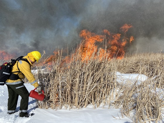 DNR To Begin Prescribed Burns Across The State