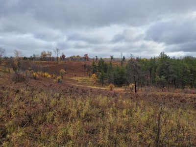 Learn About Ecology And Management Of Spread Eagle Barrens State Natural Area On Feb. 18