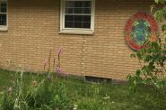 River Revitalization Foundation. Photo taken July 23rd, 2020 by Cari Taylor-Carlson.
