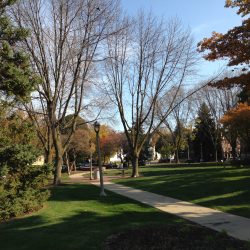 Marshall Park, 802-830 E. Ogden Ave. Photo taken on October 21, 2020 by Mariiana Tzotcheva