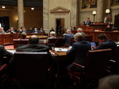 Wisconsin Senate Votes 32-1 to Extend Postpartum Medicaid Coverage