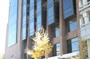 Windows being installed at Van Buren Management's 788 N. Jefferson St. building.

Photo taken on October 26th, 2012 by Jeramey Jannene.