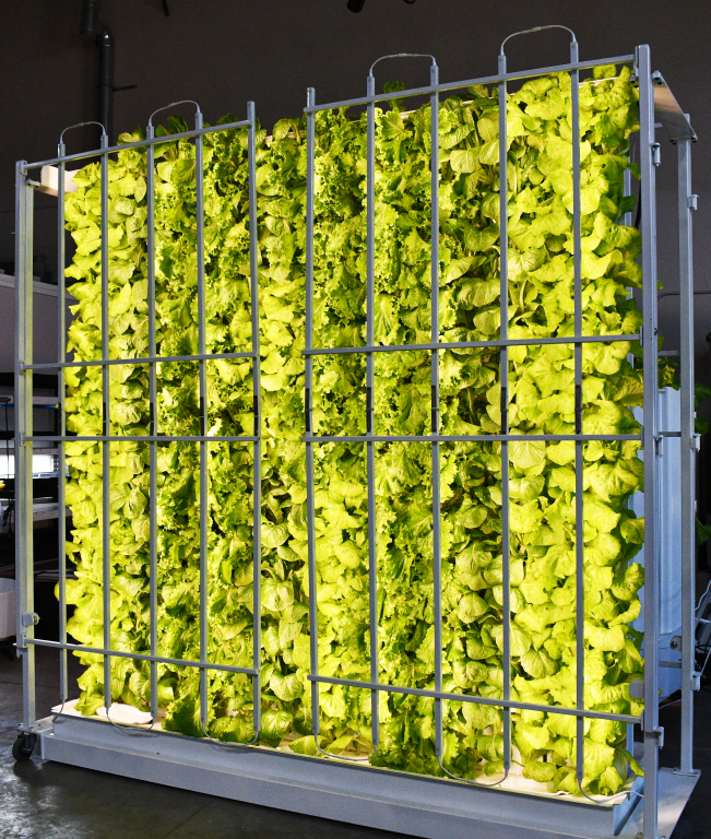 Fork Farms’ Flex Acre on display. Photo courtesy Fork Farms