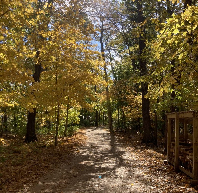 Madison’s Picnic Point on Oct. 27, 2024. Anna Marie Yanny/WPR
