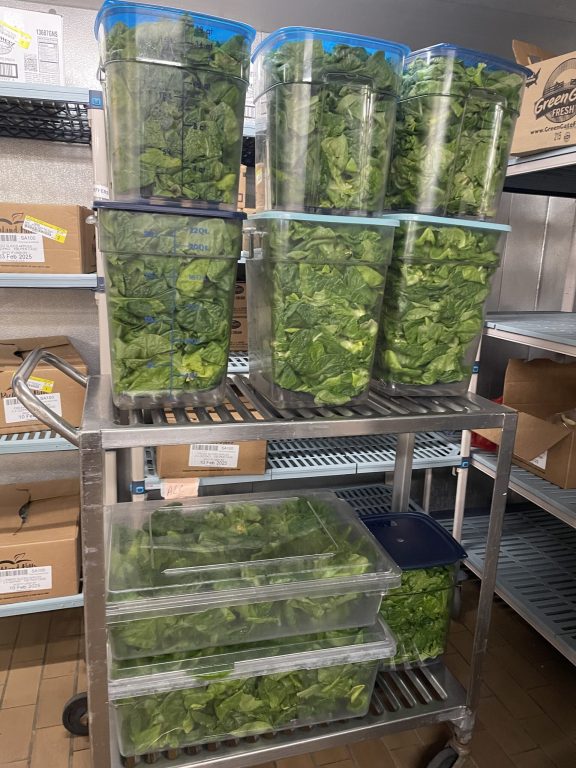 Pounds of lettuce harvested from Flex Farms at Winona Senior High School are stored in the school refrigerator, waiting to be eaten. Photo courtesy Winona Area Public Schools