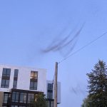What Are Those Pulsing Insect Clouds Over Wisconsin’s Lakes?