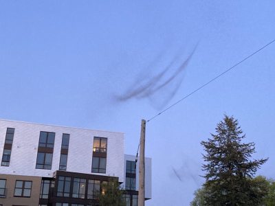 What Are Those Pulsing Insect Clouds Over Wisconsin’s Lakes?